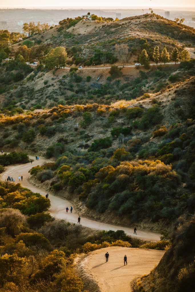 an aerial view of Runyon Canyon hiking trails in Los Angeles