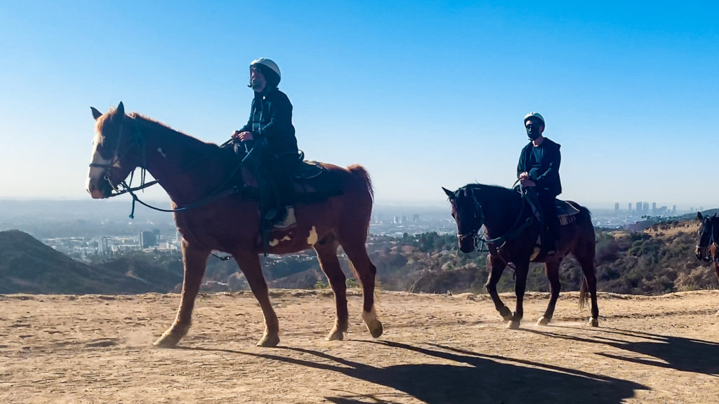 Horses and riders on the hiking trail