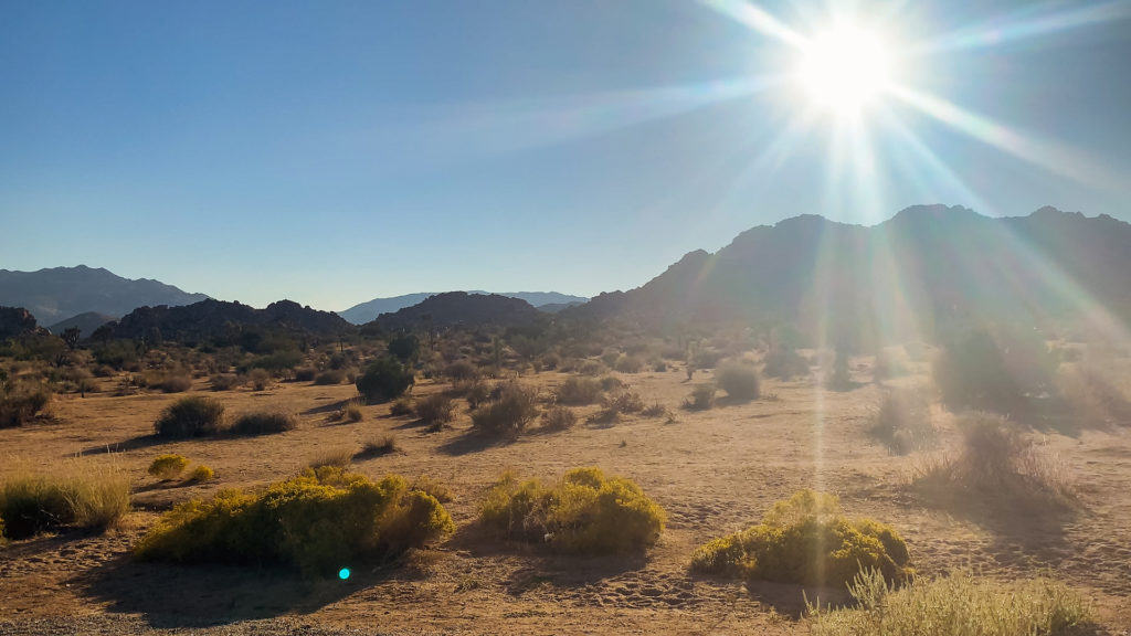 Southern California desert landscape in the late afternoon