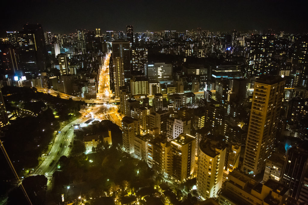 a view of Tokyo at night from atop Tokyo Tower