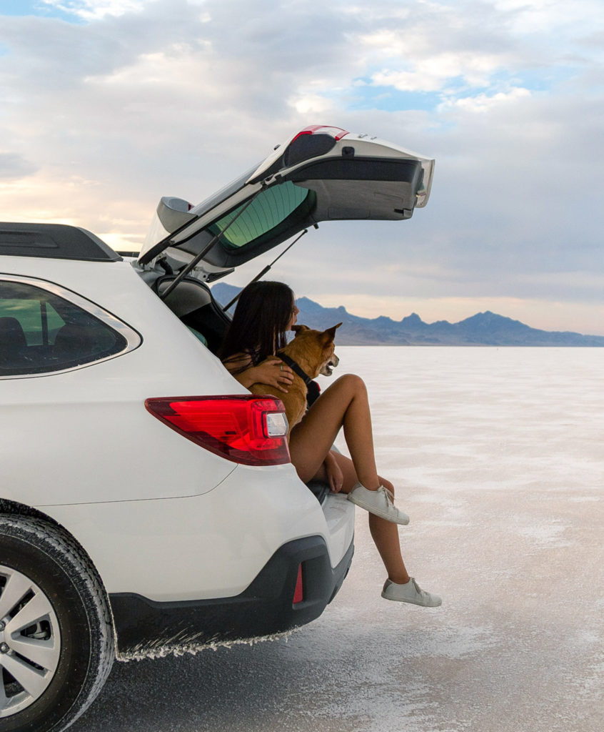 a woman sits in the back of a car with a dog