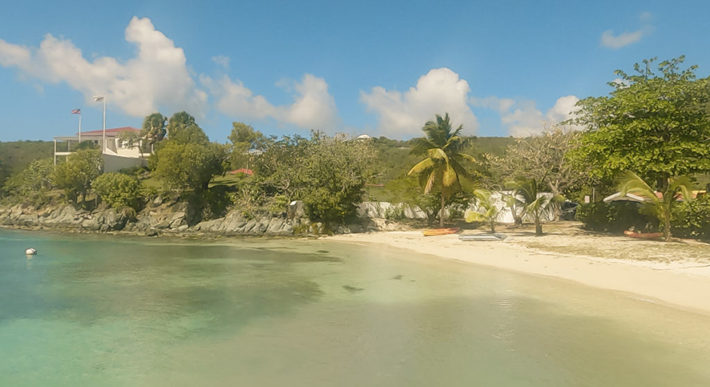 a beach in St. John U.S. Virgin Islands. white sand beach with palm and other trees, clear turquoise water, and blue skies with white fluffy clouds