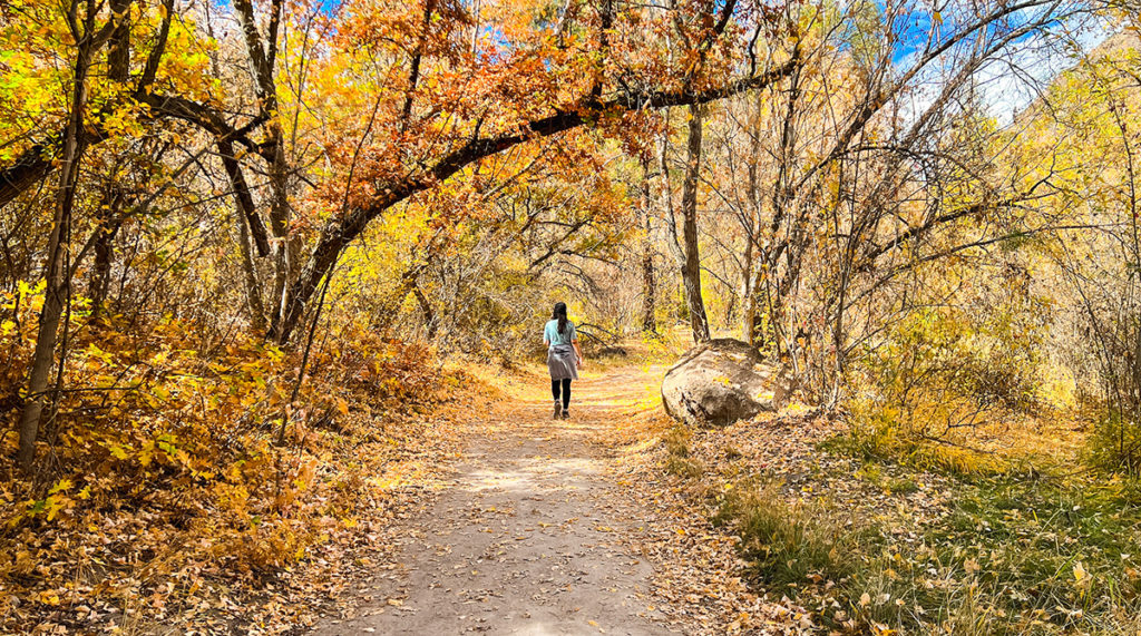woman hiking on a path in New Mexico with autumnal colors and leaves on the ground. trees are arching over her from the left
